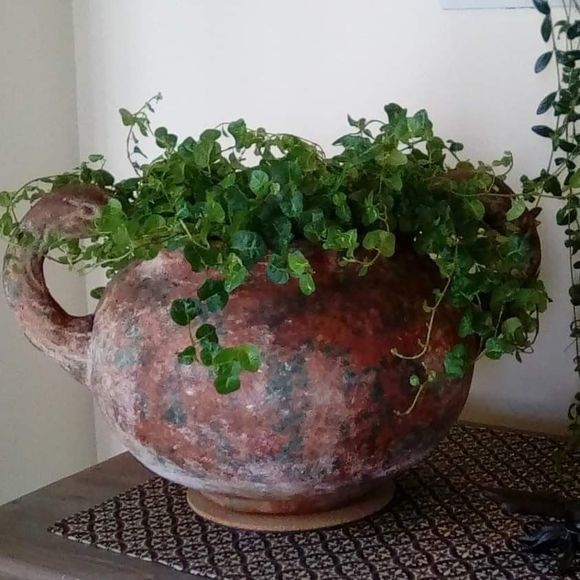 Meet your Posher, Nancy - Picture 1 of 1